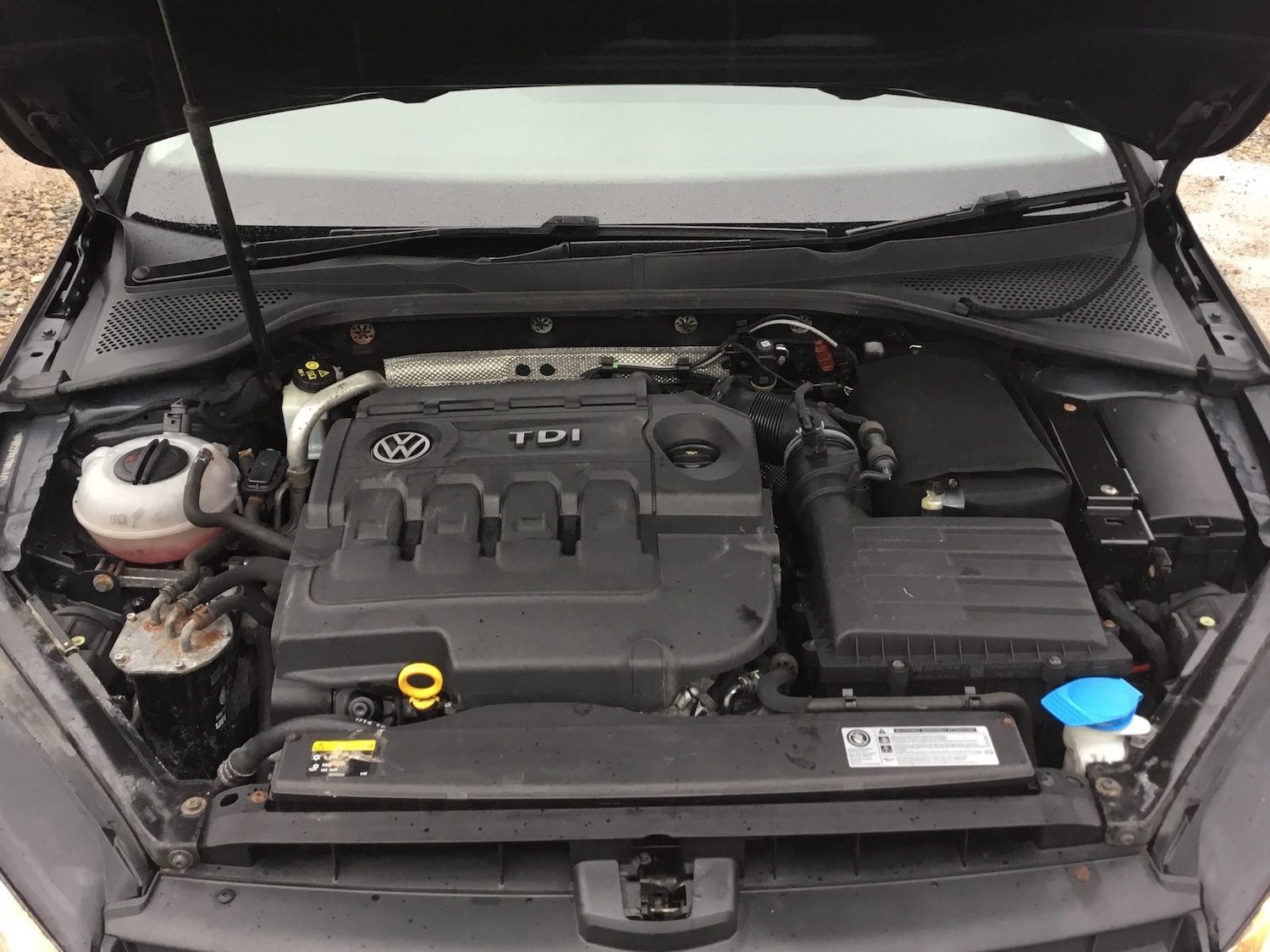 Used Volkswagen Golf 2015 for sale - 77530356: Photo 21