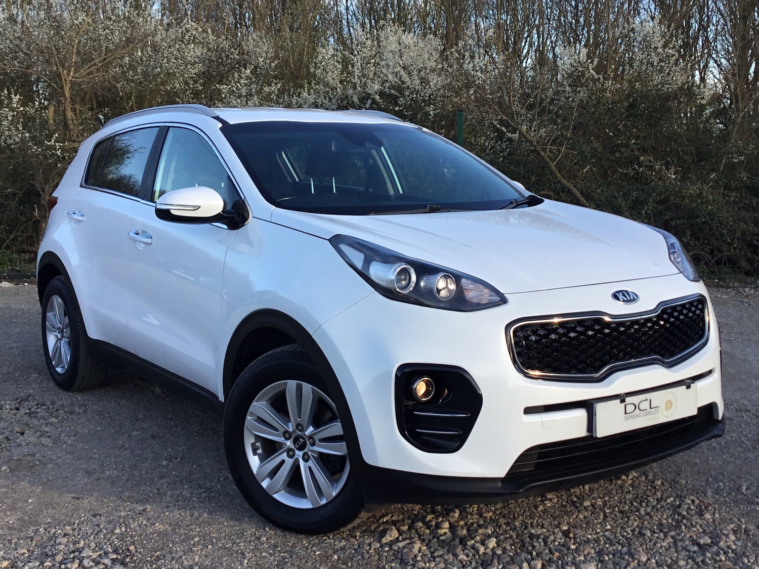 Used Kia Sportage 2016 for sale - 78014967: Photo 3