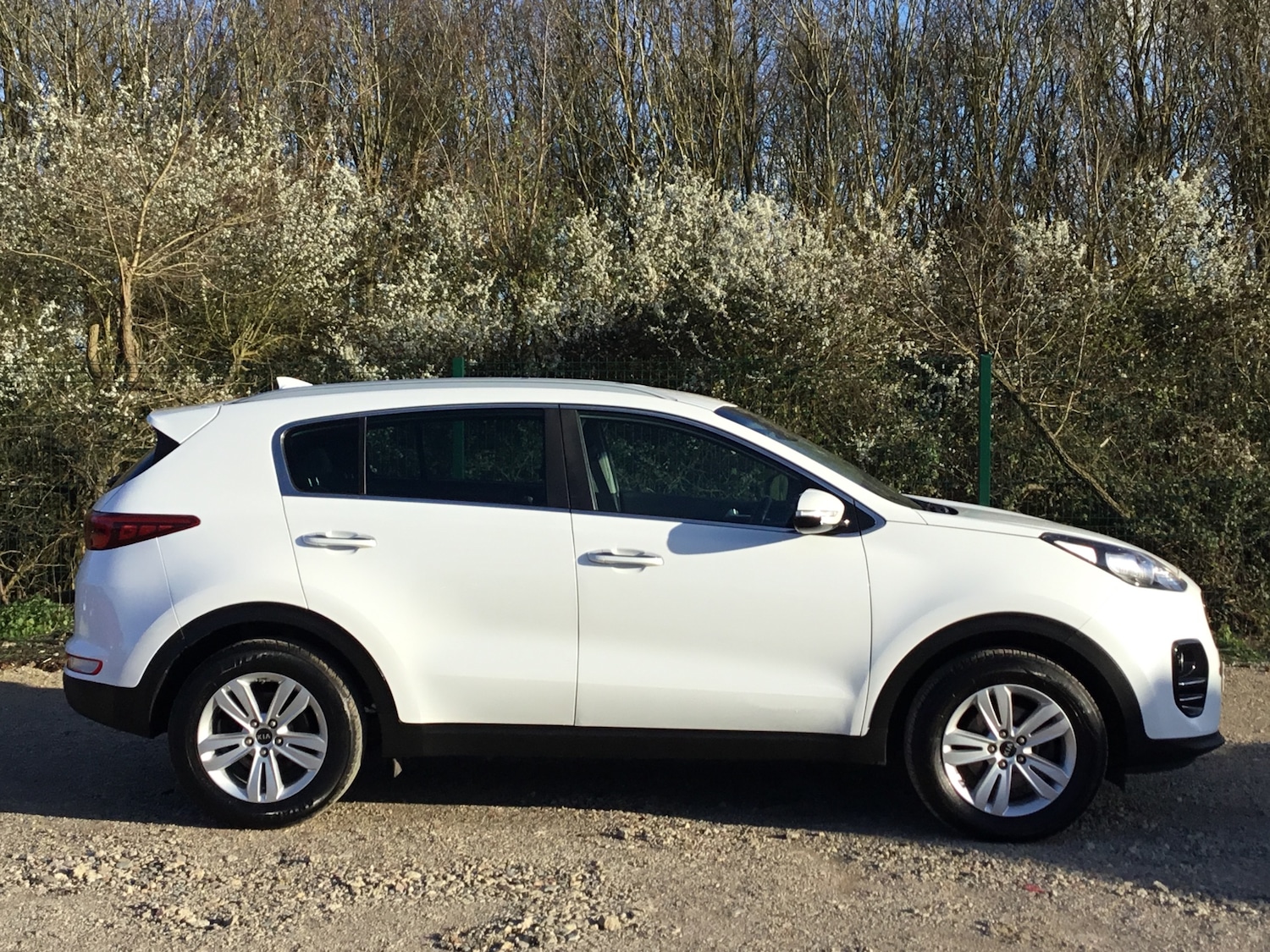 Used Kia Sportage 2016 for sale - 78014967: Photo 4