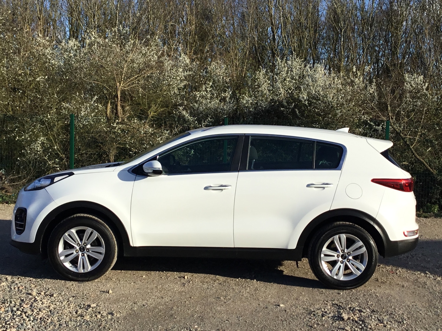 Used Kia Sportage 2016 for sale - 78014967: Photo 8