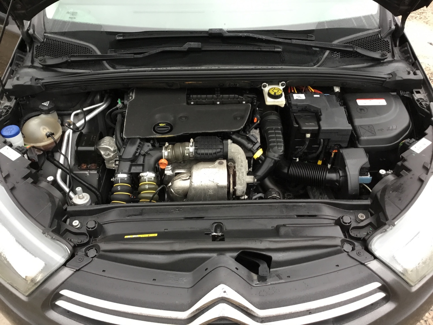 Used Citroen C4 2017 for sale - 76853446: Photo 21