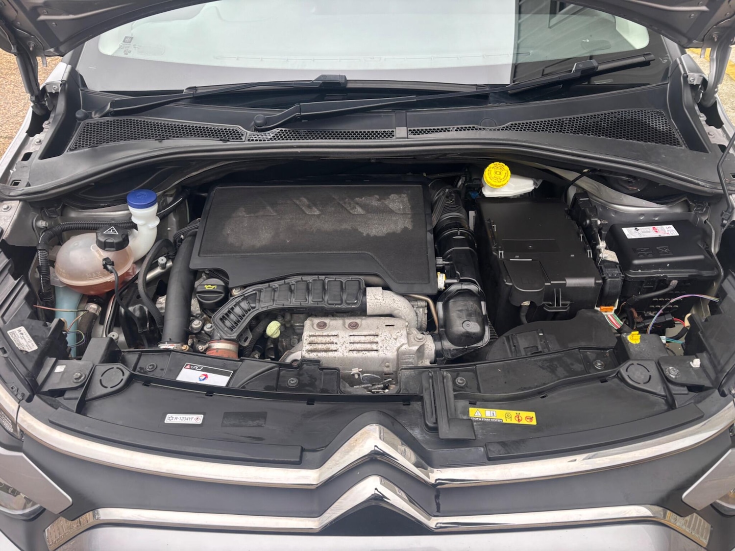 Used Citroen C3 2023 for sale - 77625112: Photo 13