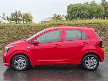 Used Kia Picanto 2024 for sale - 79804033: Photo