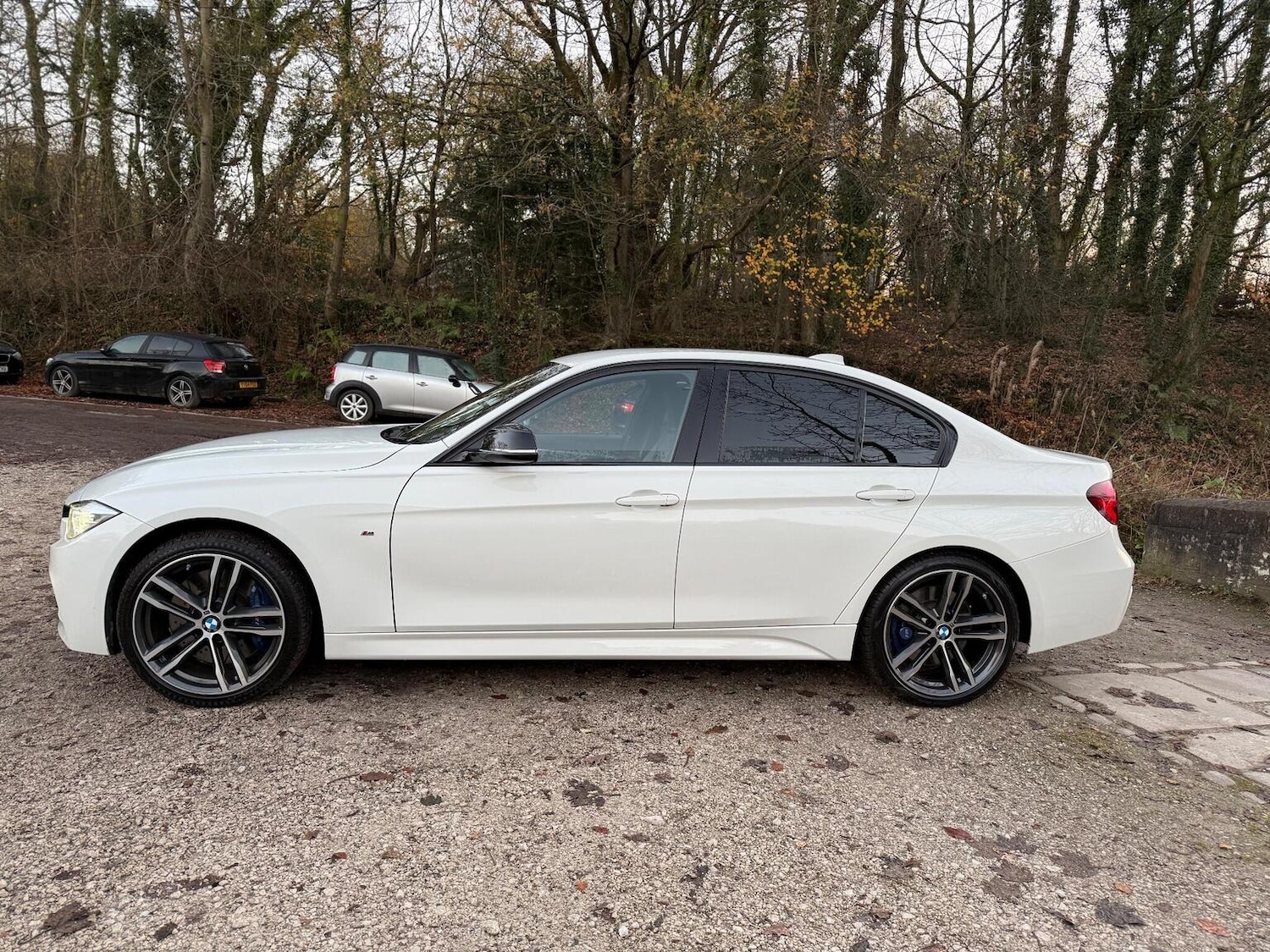 Used BMW 3 Series 2018 for sale - 76712906: Photo 8