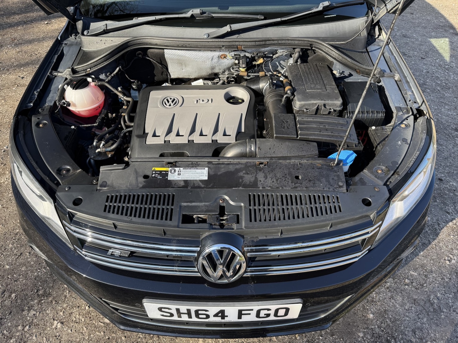 Used Volkswagen Tiguan 2015 for sale - 77962016: Photo 21