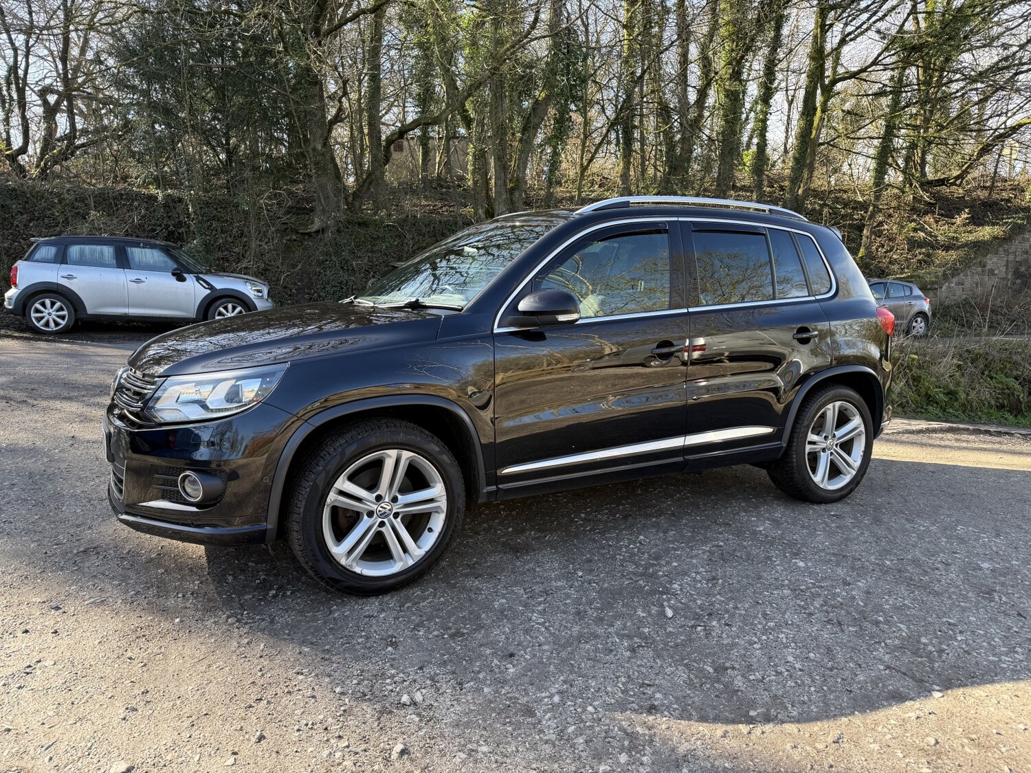 Used Volkswagen Tiguan 2015 for sale - 77962016: Photo 6