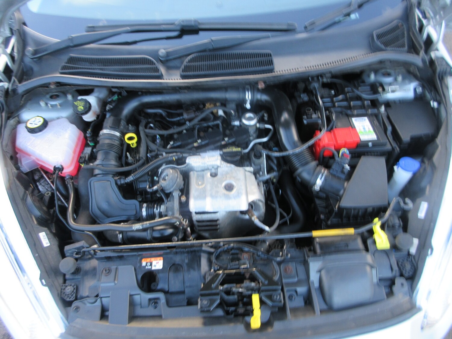 Used Ford Fiesta 2016 for sale - 77701970: Photo 23