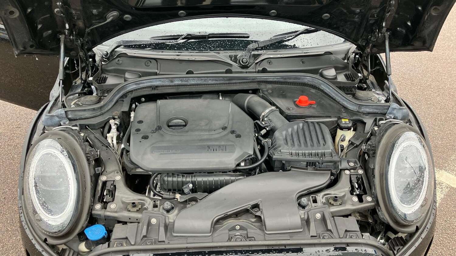 Used MINI Hatch 2021 for sale - 77604749: Photo 39