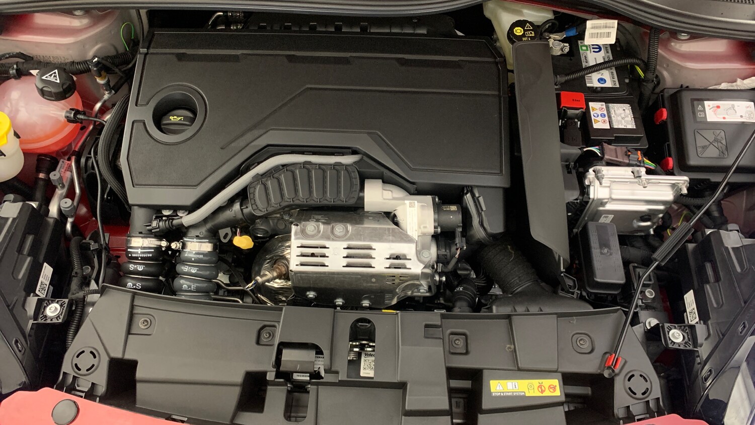 Used Fiat 600 2025 for sale - 76937147: Photo 22