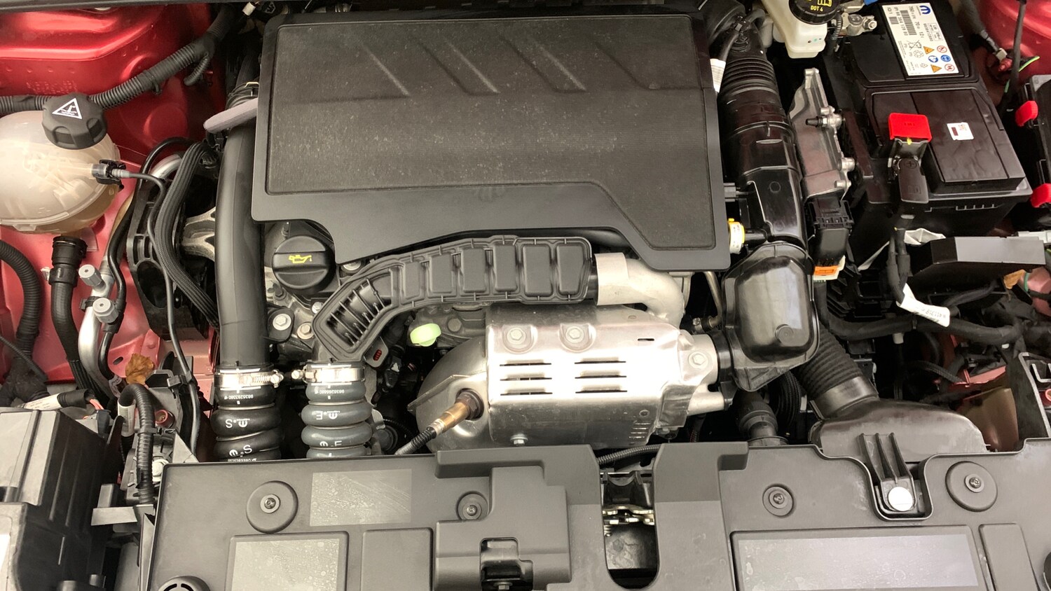 Used Citroen C4 2024 for sale - 76285209: Photo 21