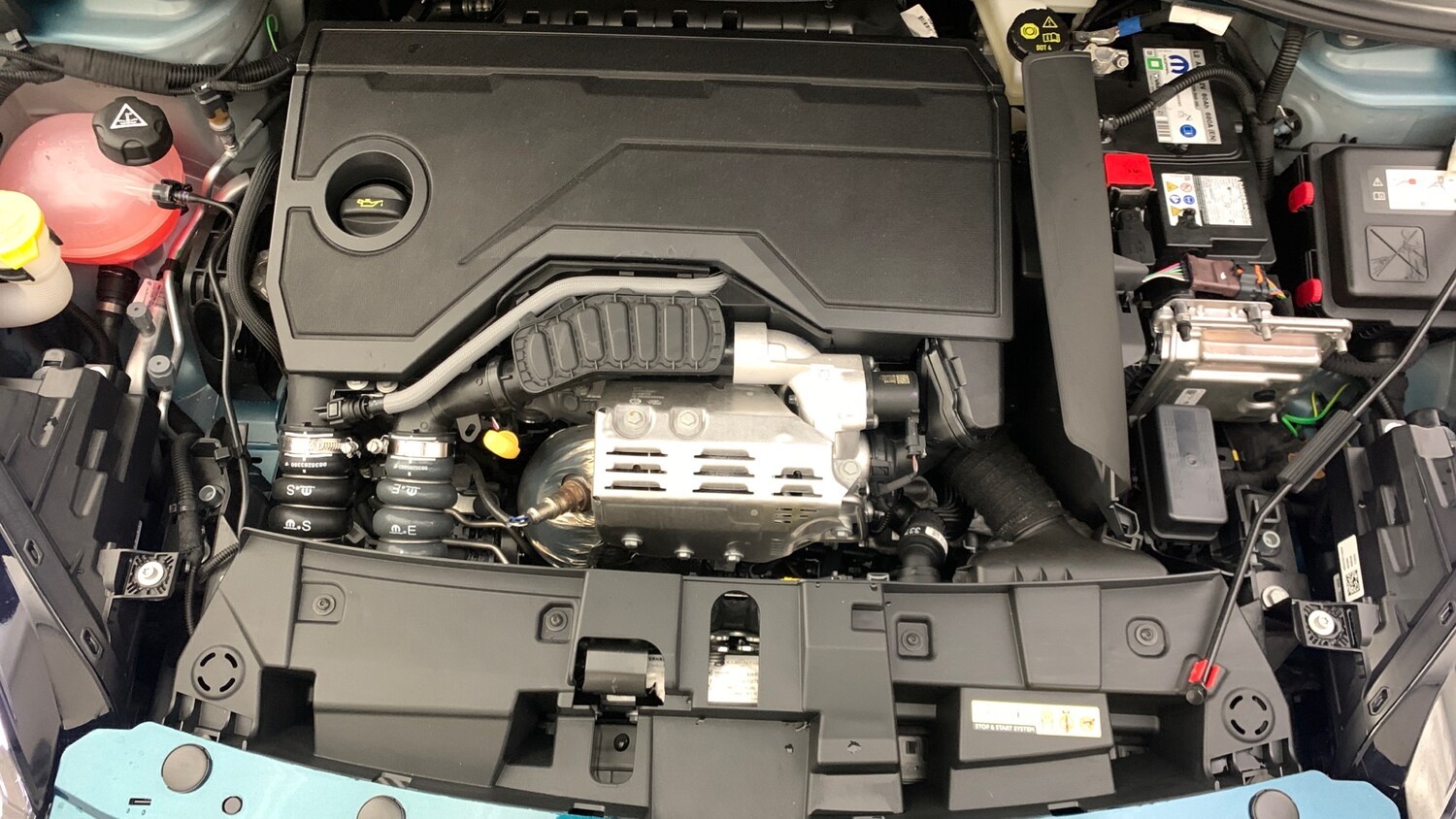 Used Fiat 600 2025 for sale - 76937145: Photo 22