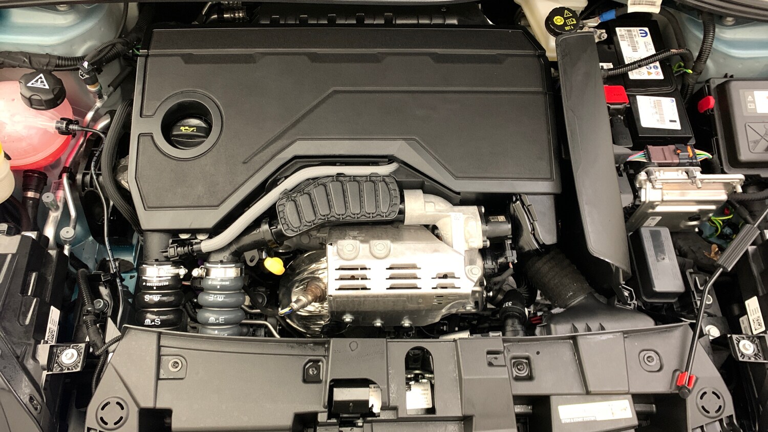 Used Fiat 600 2025 for sale - 77441916: Photo 21