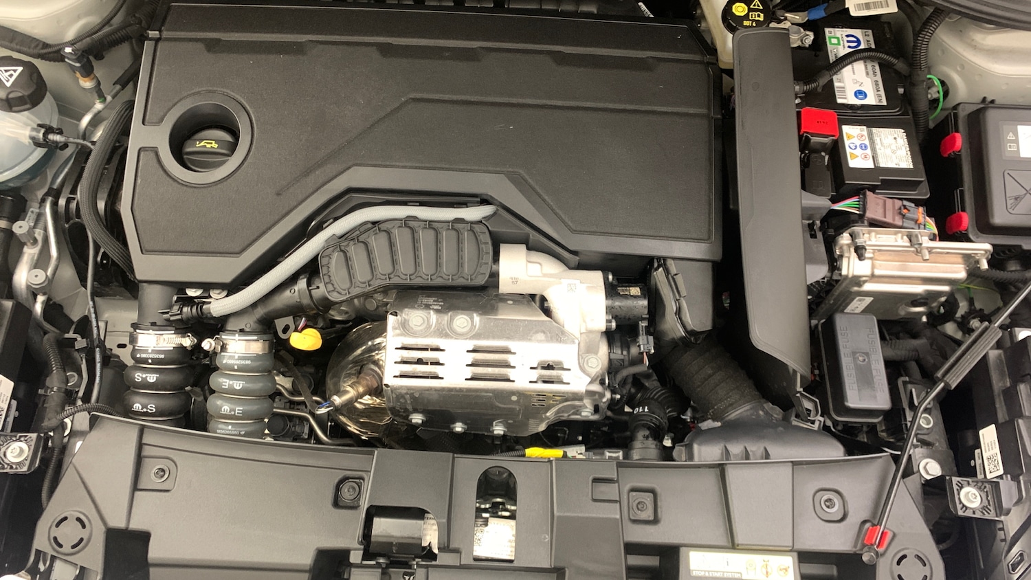 Used Fiat 600 2024 for sale - 76327679: Photo 21