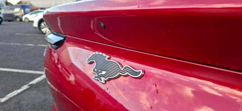 Used Ford Mustang Mach-E 2022 for sale - 77225861: Photo 12