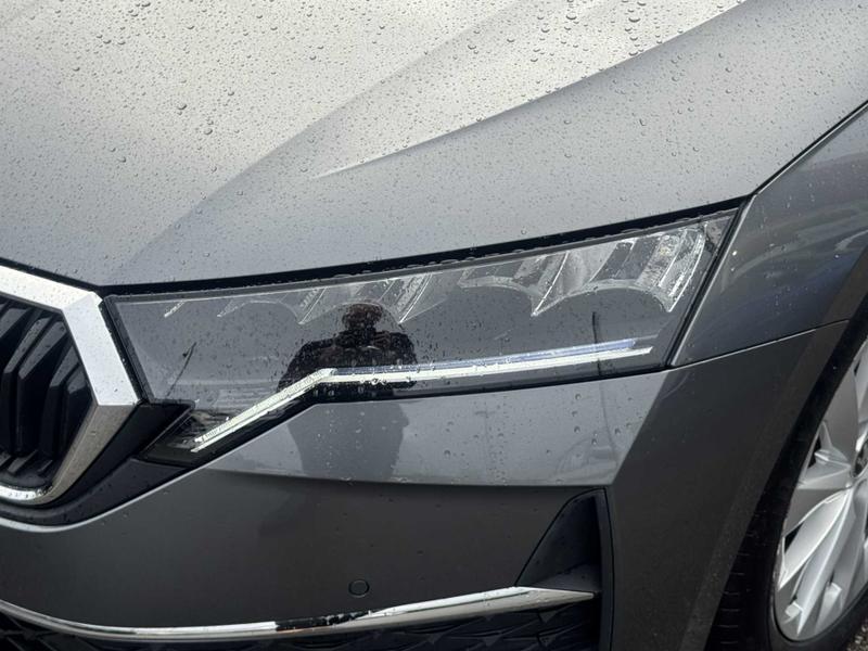 Used Skoda Octavia 2025 for sale - 76882525: Photo 21