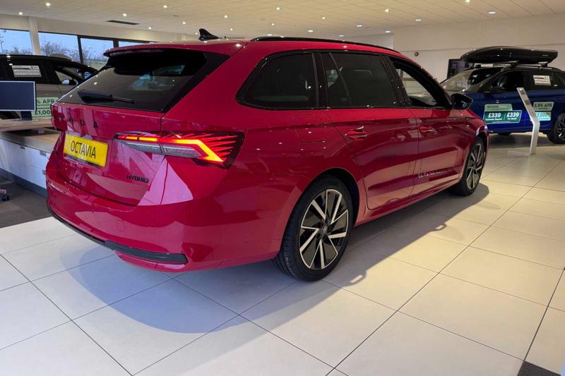 Used Skoda Octavia for sale - 77505751: Photo 14