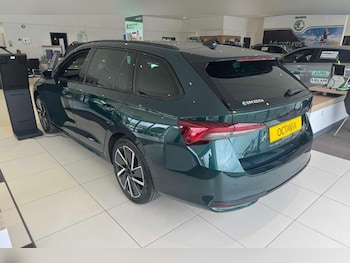 Used Skoda Octavia undefined for sale - 78657189: Photo