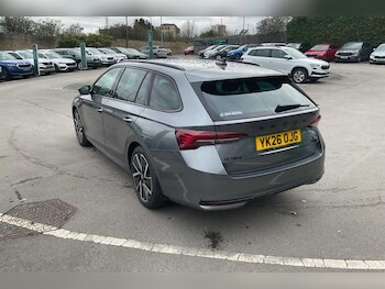 Used Skoda Octavia 2026 for sale - 79560226: Photo