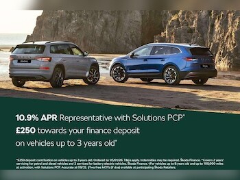 Used Skoda Karoq undefined for sale - 76826206: Photo