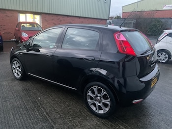 Used Fiat Punto 2016 for sale - 77173405: Photo