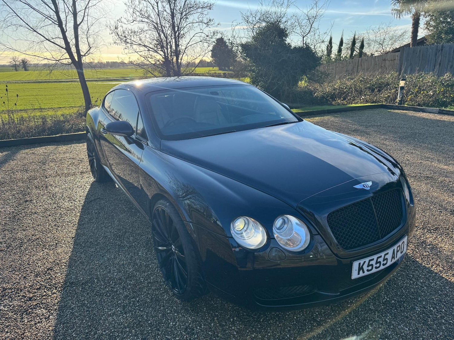 Used Bentley Continental 2004 for sale - 77203468: Photo 14
