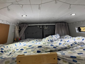 Used Iveco Daily 2013 for sale - 77202887: Photo