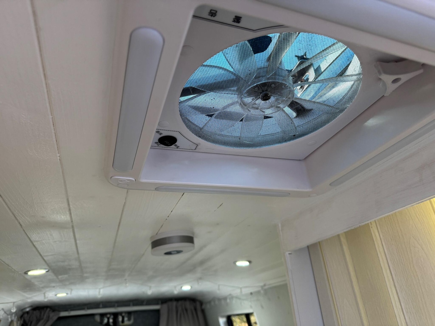 Used Iveco Daily 2013 for sale - 77202887: Photo 3