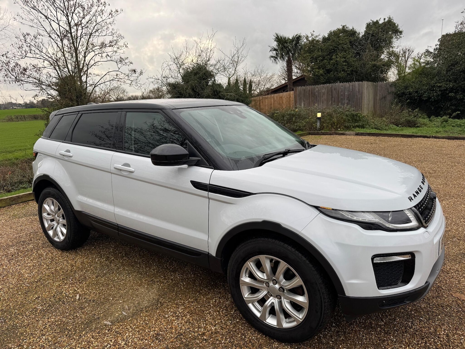 Used Land Rover Range Rover Evoque for sale - 77823807: Photo 30