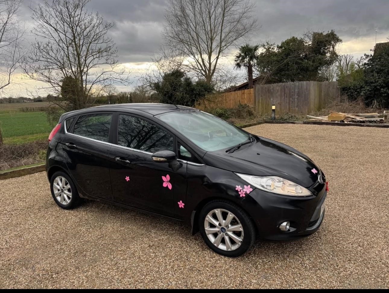 Ford Fiesta (10) - 1.25 Zetec 5dr - Image 5