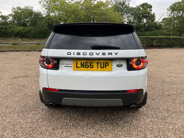 Used Land Rover Discovery Sport 2016 for sale - 75339795: Photo 11