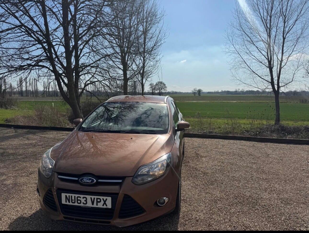 Used Ford Focus for sale - 77279998: Photo 5