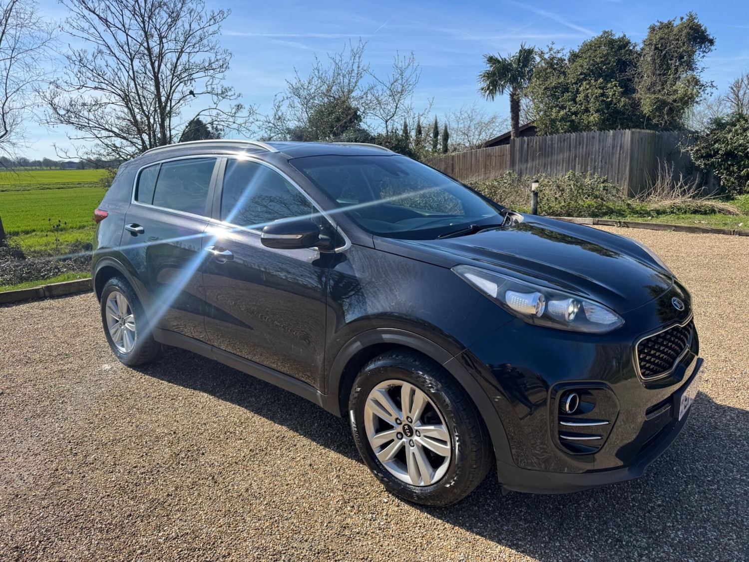 Used Kia Sportage 2017 for sale - 77977649: Photo 5