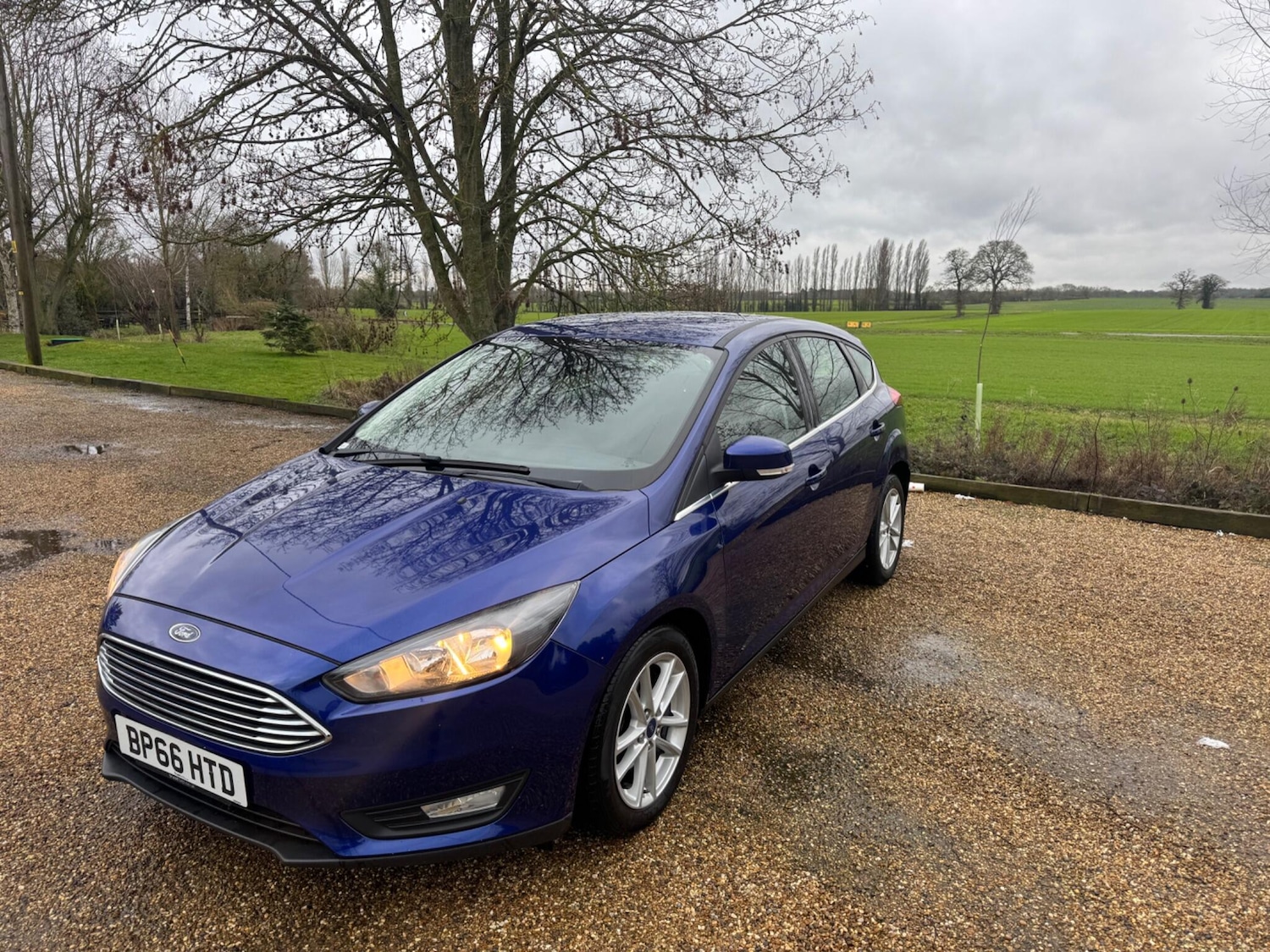 Used Ford Focus for sale - 77279548: Photo 17