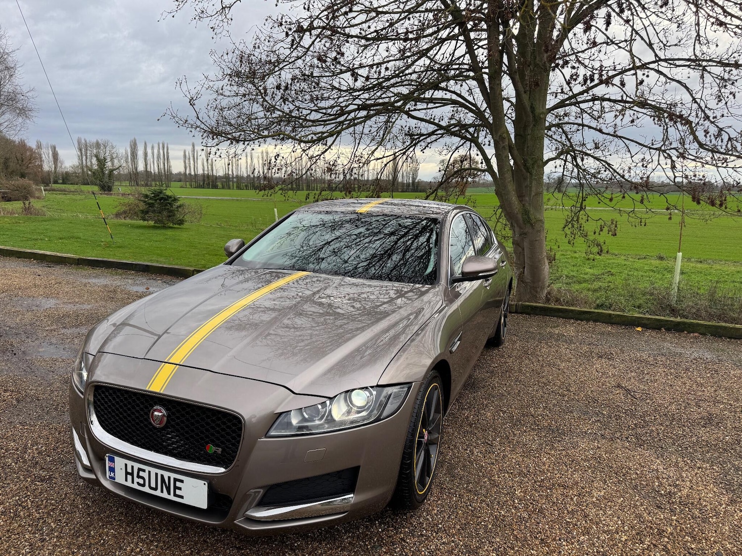 Used Jaguar XF 2016 for sale - 76887026: Photo 13