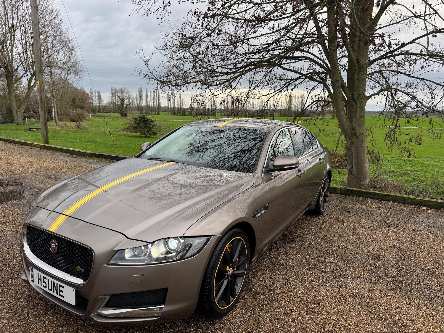 Used Jaguar XF 2016 for sale - 76887026: Photo 14