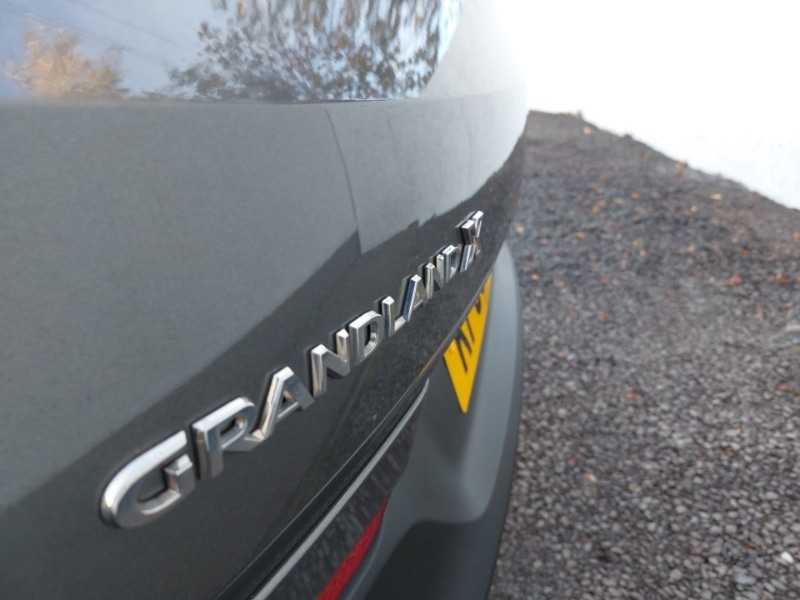 Used Vauxhall Grandland X 2019 for sale - 76414348: Photo 12