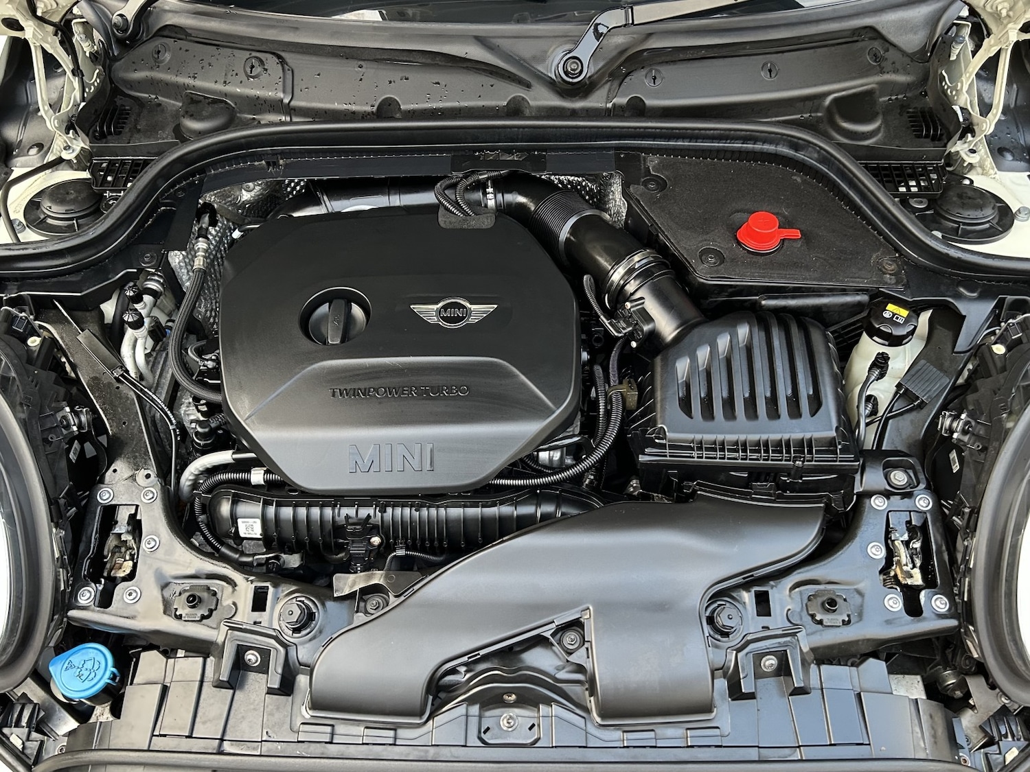 Used MINI Hatch 2016 for sale - 77616379: Photo 21