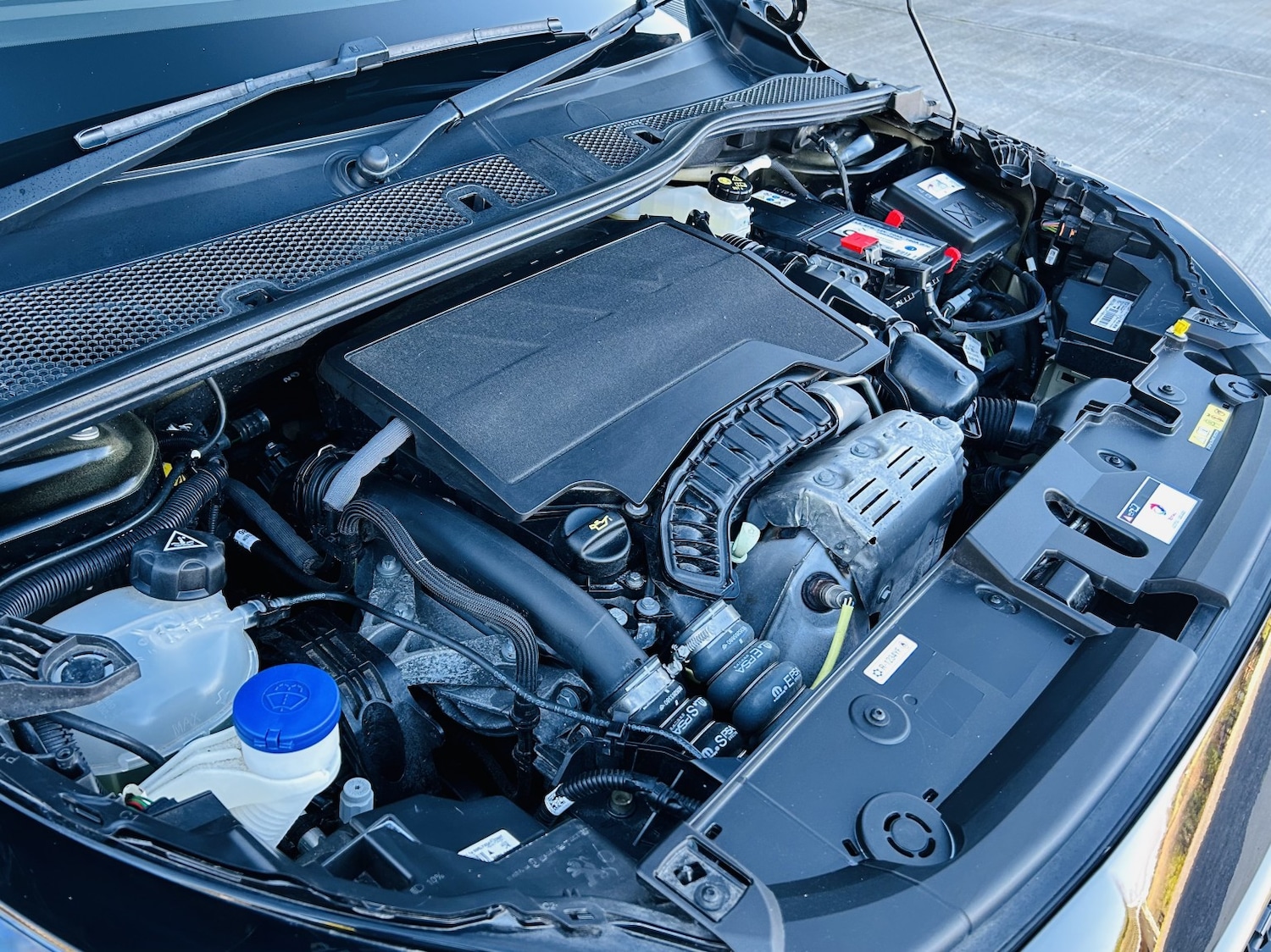 Used Peugeot 208 2023 for sale - 77089876: Photo 26