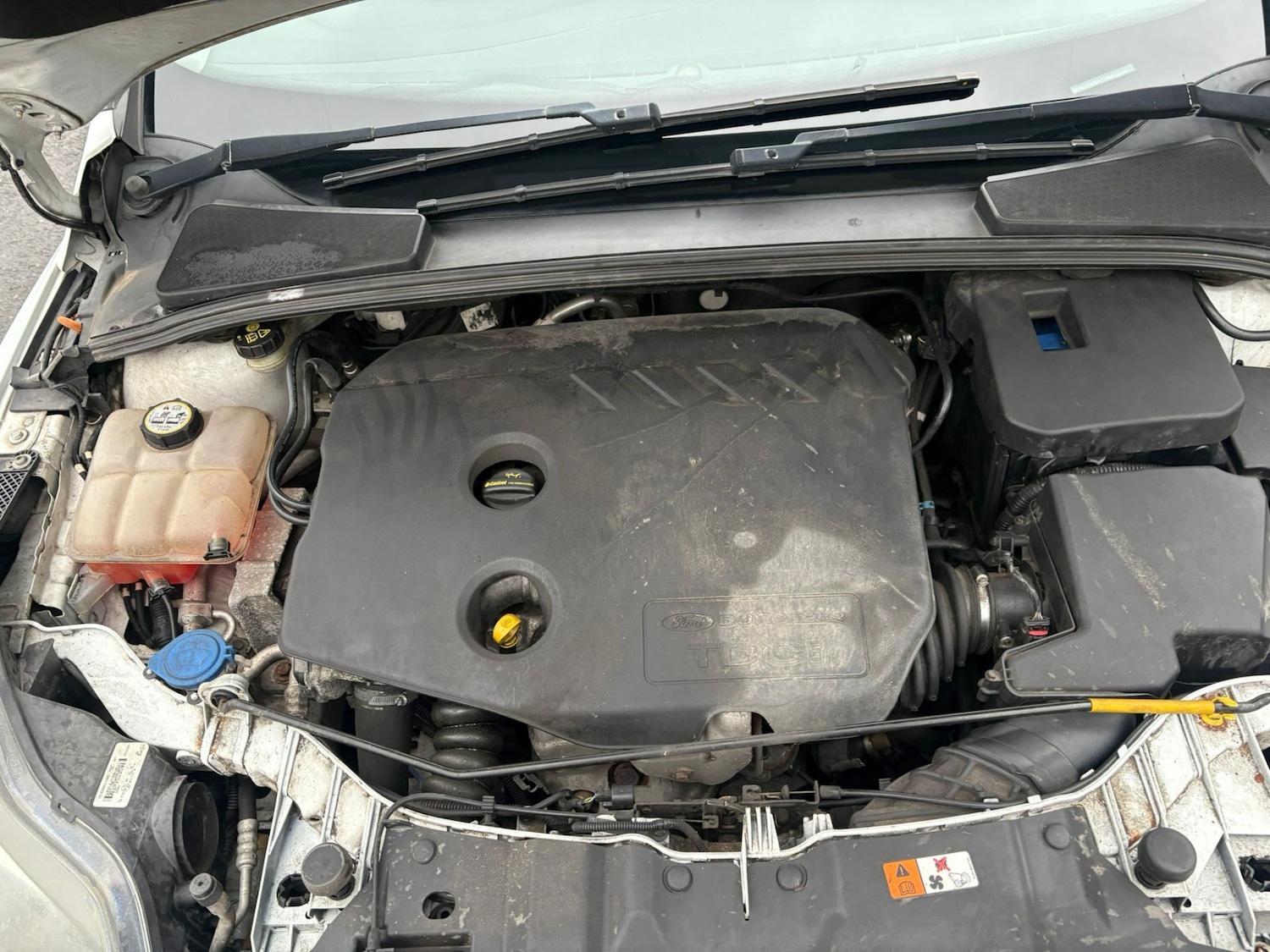 Used Ford Focus 2012 for sale - 77629119: Photo 9