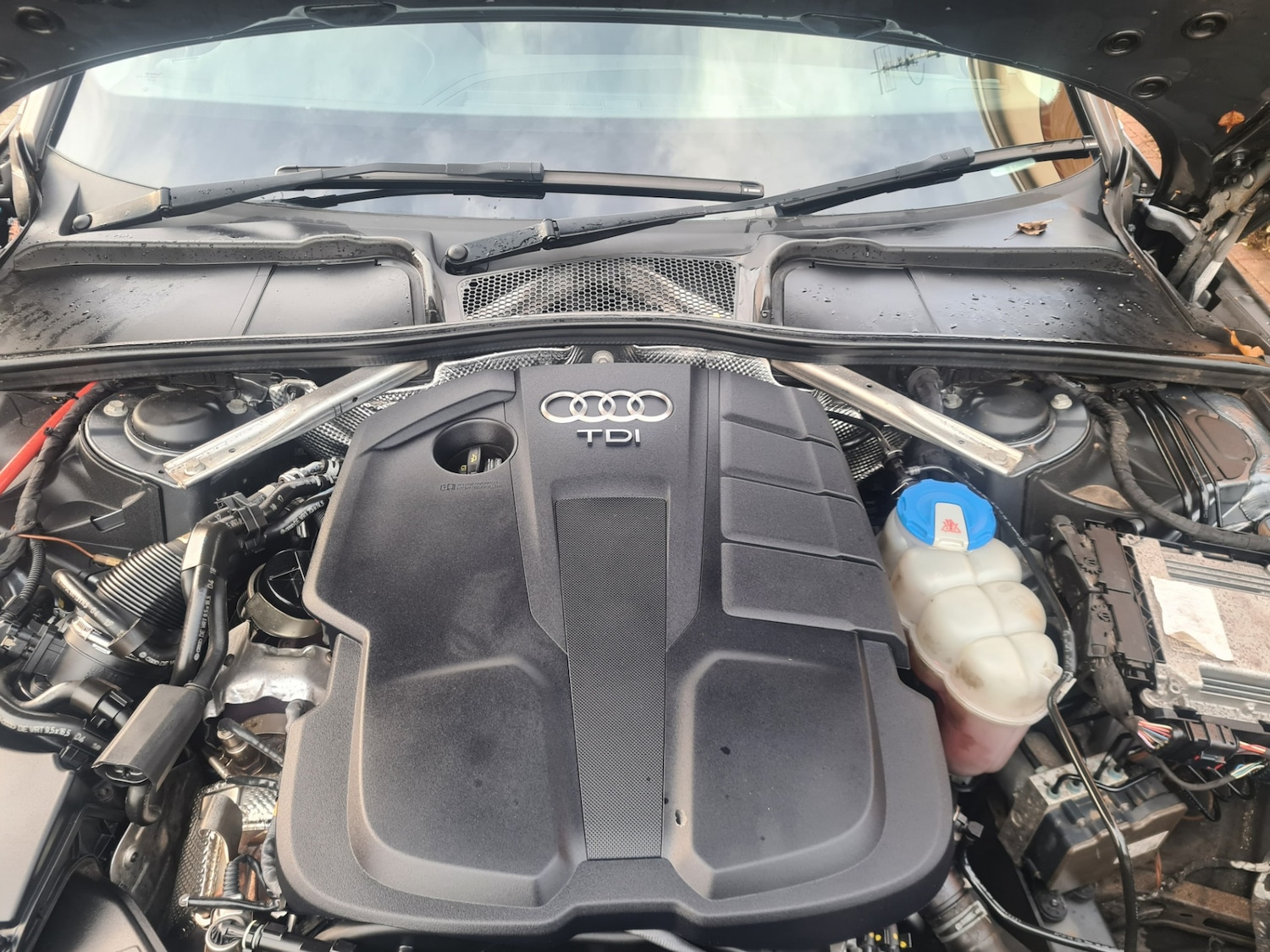 Used Audi A4 2017 for sale - 76957465: Photo 16