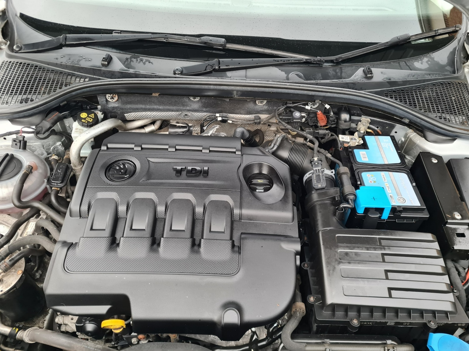 Used Skoda Octavia 2016 for sale - 77165067: Photo 14