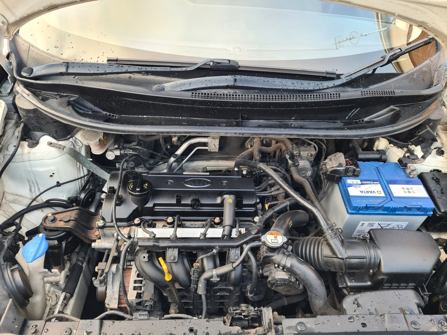 Used Kia Rio 2014 for sale - 76382408: Photo 14