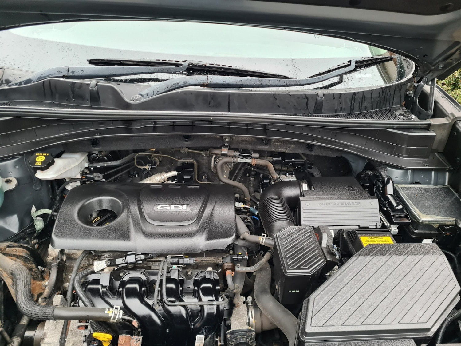 Used Kia Sportage 2017 for sale - 77532141: Photo 14