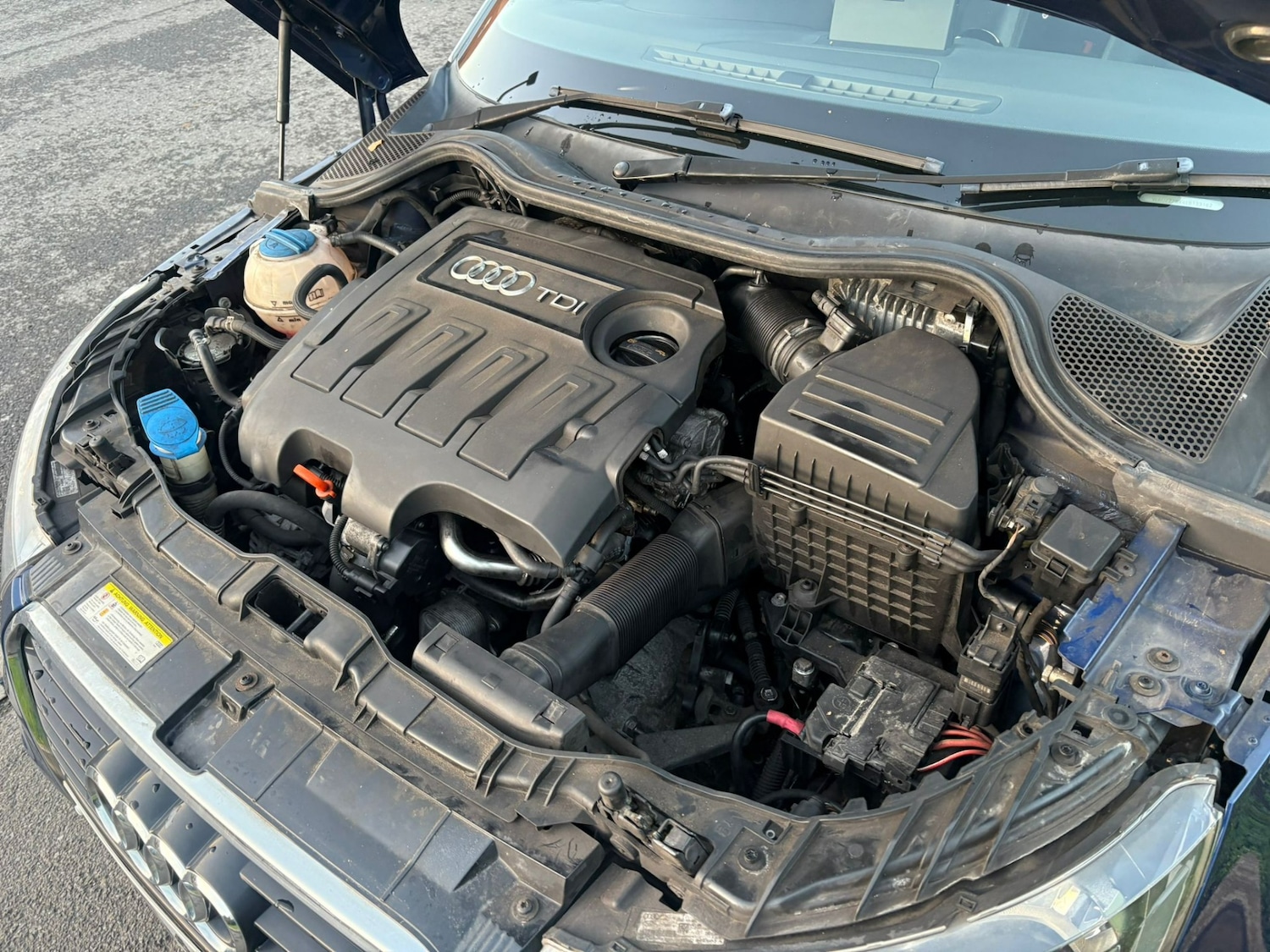 Used Audi A1 2014 for sale - 77019104: Photo 11