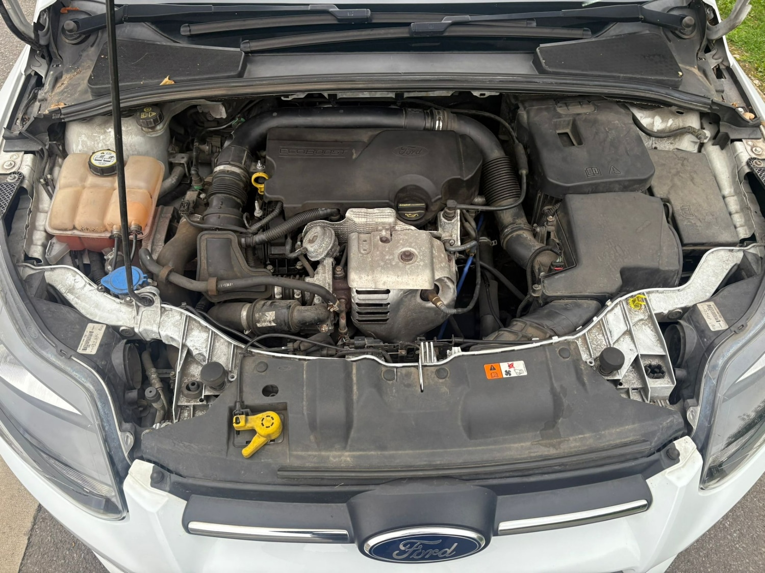 Used Ford Focus 2014 for sale - 76351423: Photo 8