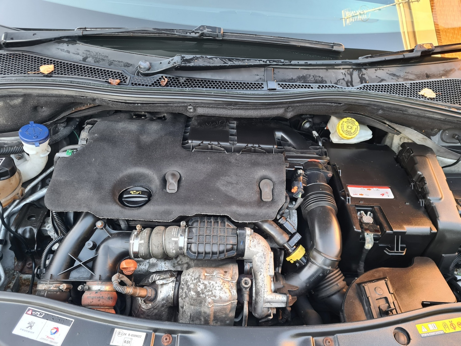 Used Peugeot 2008 2015 for sale - 76479558: Photo 14