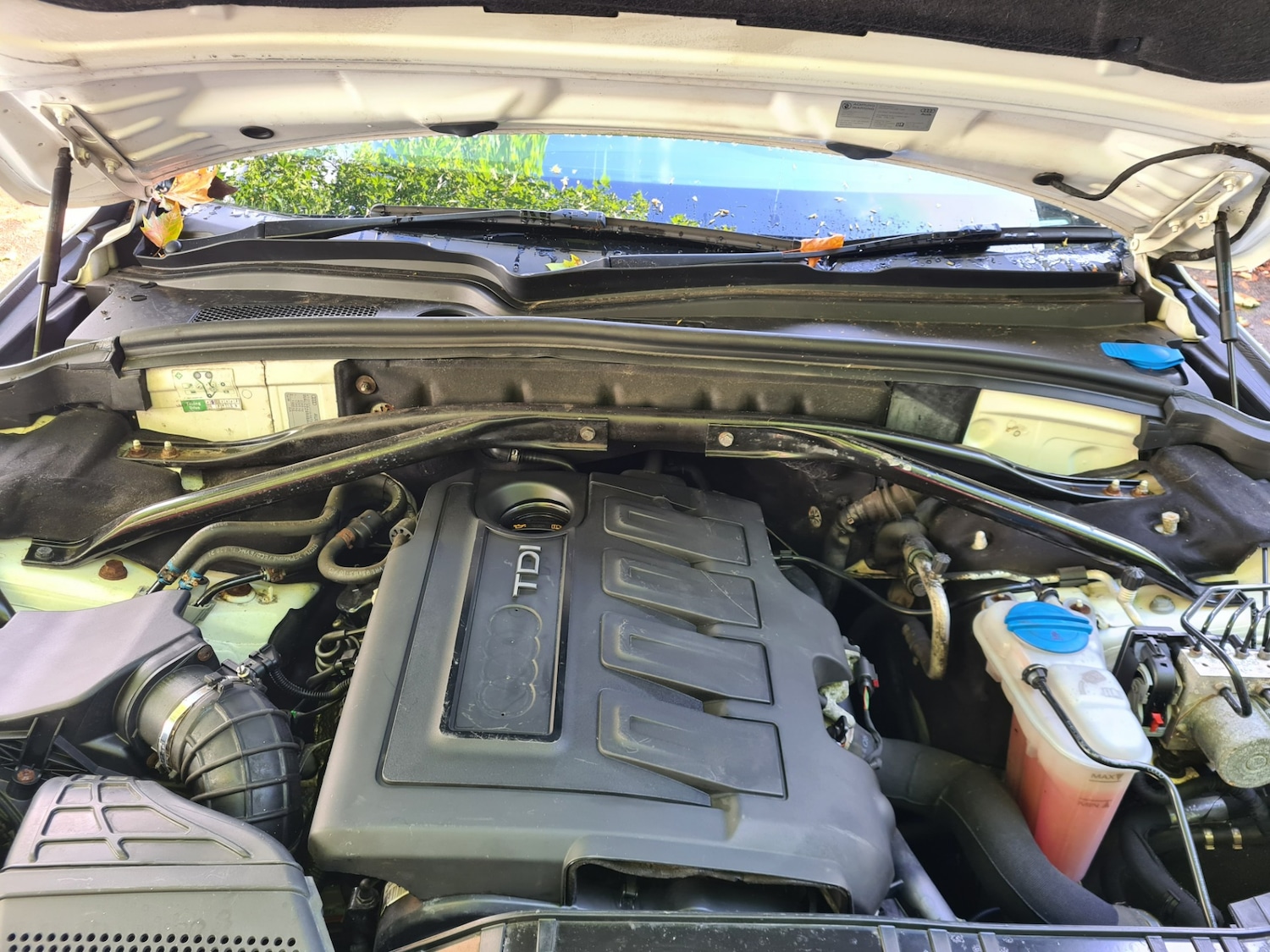 Used Audi Q5 2010 for sale - 77285756: Photo 14