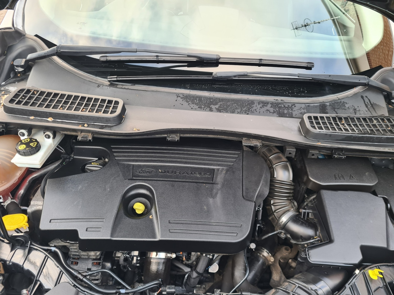 Used Ford Kuga 2017 for sale - 77261218: Photo 14