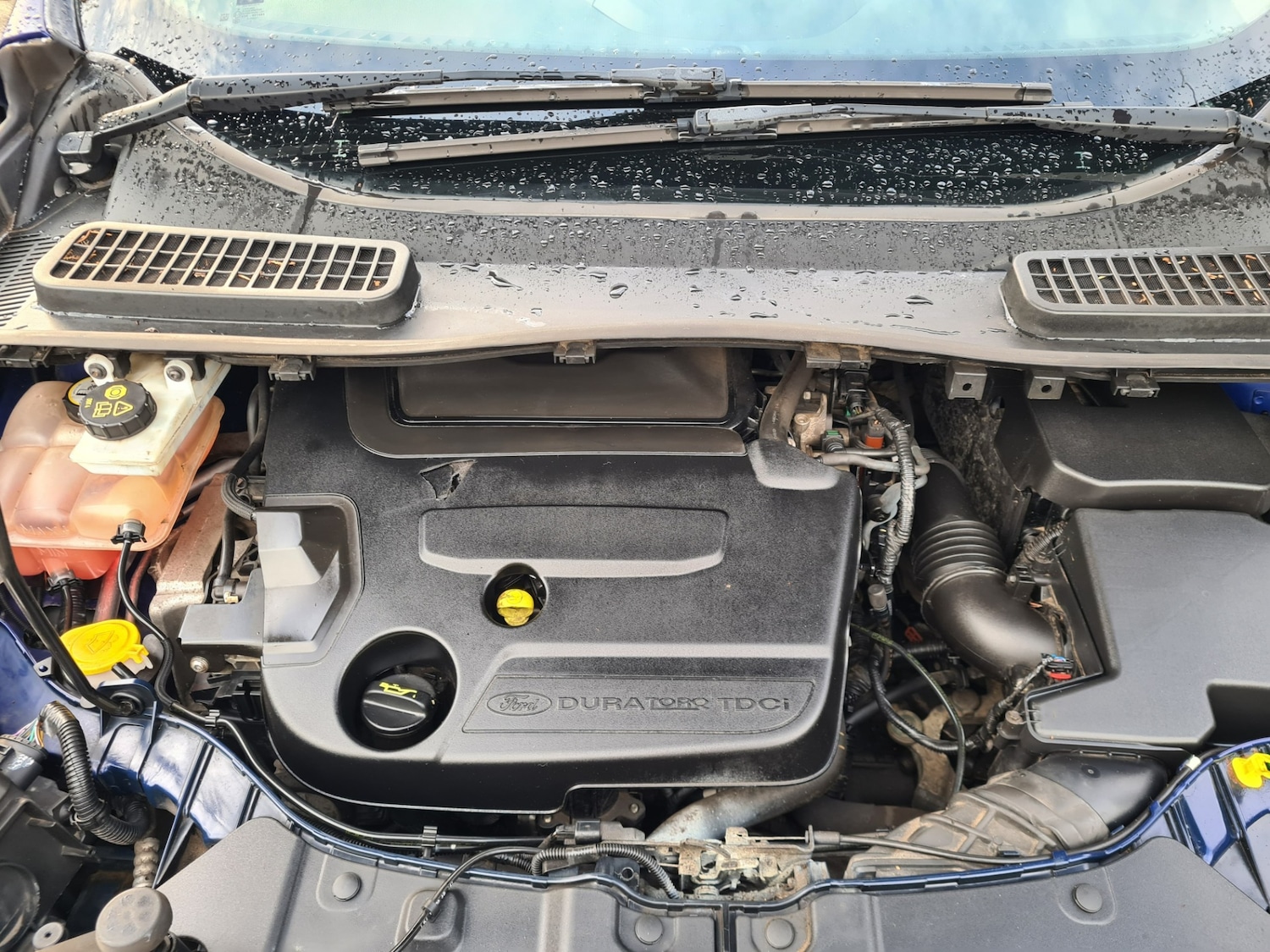 Used Ford Kuga 2014 for sale - 77310675: Photo 14