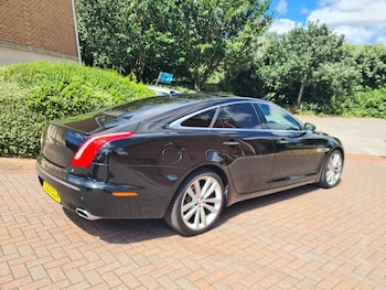 Used Jaguar XJ 2013 for sale - 79087951: Photo